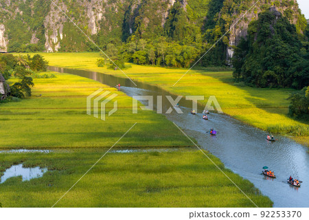 Yellow rice field on Ngo Dong river in Tam Coc Bich Dong from mountain top view in Ninh Binh, Viet Nam Yellow rice field on Ngo Dong river in Tam Coc Bich Dong from mountain top view in Ninh Binh, Viet Nam 92253370