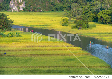 Yellow rice field on Ngo Dong river in Tam Coc Bich Dong from mountain top view in Ninh Binh, Viet Nam 92253374