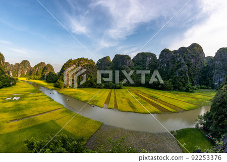 Yellow rice field on Ngo Dong river in Tam Coc Bich Dong from mountain top view in Ninh Binh, Viet Nam Yellow rice field on Ngo Dong river in Tam Coc Bich Dong from mountain top view in Ninh Binh, Viet Nam 92253376