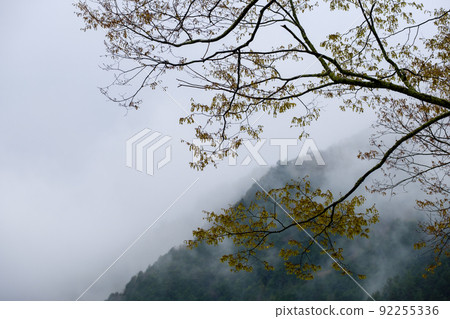 A mountain covered with deep fog and clouds, Mt. Kisokoma, Japanese Alps A mountain covered with deep fog and clouds, Mt. Kisokoma, Japanese Alps 92255336