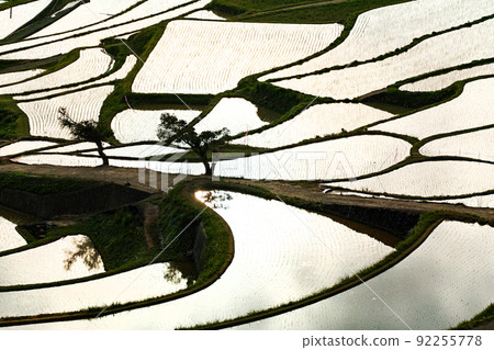 Nagasaki Prefecture / Doya Rice Terraces Water filling period (Doya Rice Terraces) Nagasaki Prefecture / Doya Rice Terraces Water filling period (Doya Rice Terraces) 92255778