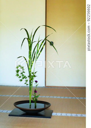 日南市遊書館的花道 92256602