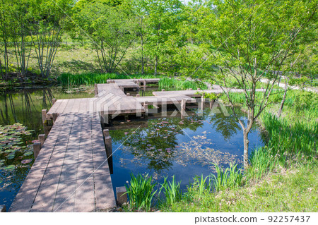 奧島湖 湖畔 水邊 Seseragi Park Fresh Green Season 奧島湖 湖畔 水邊 Seseragi Park Fresh Green Season 92257437