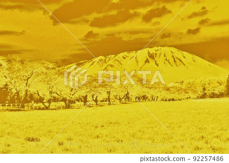 Iwate Mt. Iwate 小岩井 Gold Gold GOLD 92257486