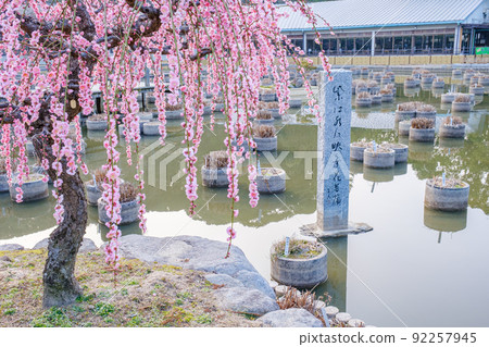 Dazaifu Tenmangu Shrine and I plum pond Dazaifu Tenmangu Shrine and I plum pond 92257945