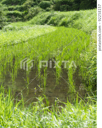 米大陽颱風景在夏天 92258157