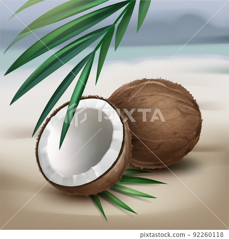 Coconuts on seaside Coconuts on seaside 92260118