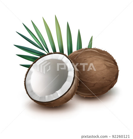 Whole and half coconut 92260121