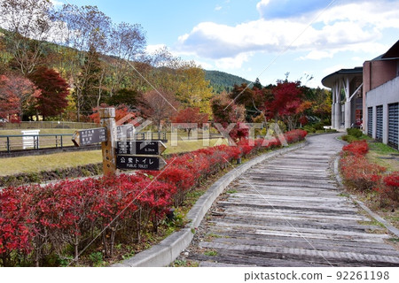 Annaka City, Gunma Prefecture Usui Pass Forest Park, Autumn Leaves, Walking Paths and Roads Annaka City, Gunma Prefecture Usui Pass Forest Park, Autumn Leaves, Walking Paths and Roads 92261198