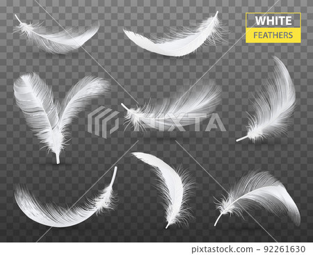 White Feathers Transparent Set 92261630