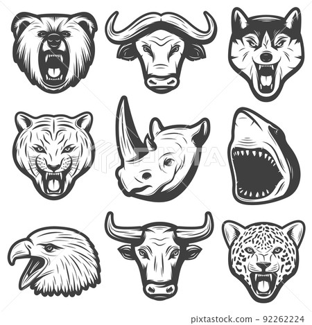 Vintage Wild Animals Set Vintage Wild Animals Set 92262224