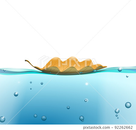 Water surface with Leaf 92262662
