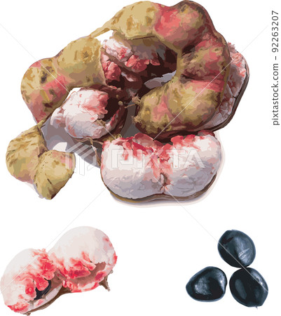 Abstract of Manila Tamarind fruit on white background. Abstract of Manila Tamarind fruit on white background. 92263207