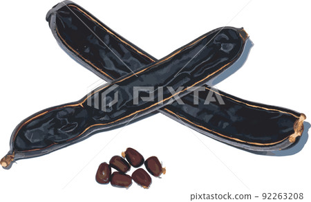 Abstract of East Indian walnut, Rain tree or Monkey Pod seeds on white background. Abstract of East Indian walnut, Rain tree or Monkey Pod seeds on white background. 92263208