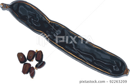 Abstract of East Indian walnut, Rain tree or Monkey Pod seeds on white background. Abstract of East Indian walnut, Rain tree or Monkey Pod seeds on white background. 92263209