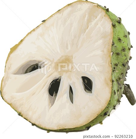 Abstract the Soursop fruit on white background. Abstract the Soursop fruit on white background. 92263210