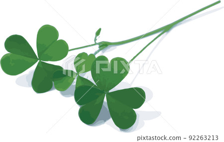 Abstract of Creeping lady's sorrel plant on white background. Abstract of Creeping lady's sorrel plant on white background. 92263213