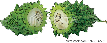 Abstract raw green fruit of Bitter Cucumber, Bitter Gourd, Carilla Fruit on white background. 92263223