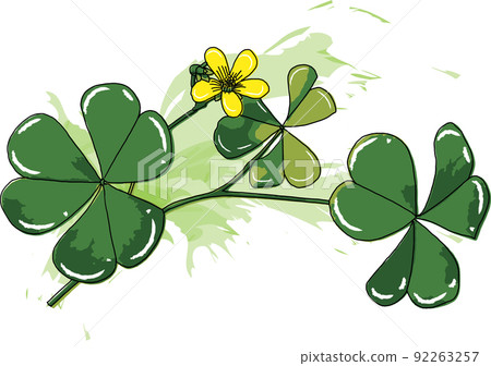 Abstract of Creeping lady's sorrel plant on white background. 92263257