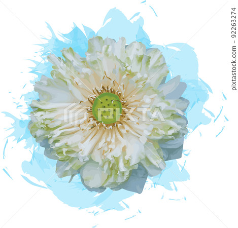 Abstract of white lotus flower on white background. Abstract of white lotus flower on white background. 92263274