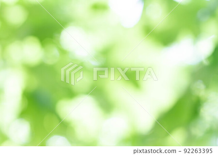 Abstract background. Bokeh in the background. Green color. Abstract background. Bokeh in the background. Green color. 92263395