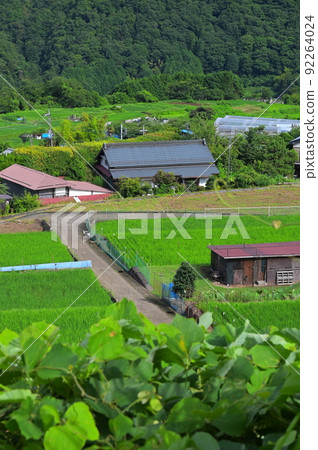 夏日懷舊青奧原風景 夏日懷舊青奧原風景 92264024