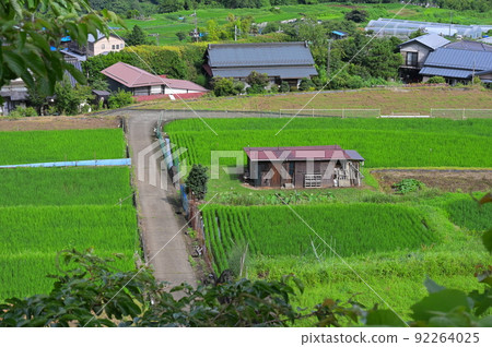 夏日懷舊青奧原風景 夏日懷舊青奧原風景 92264025