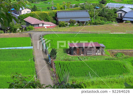 夏日懷舊青奧原風景 夏日懷舊青奧原風景 92264026