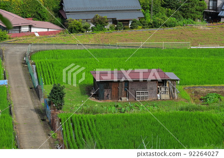 夏日懷舊青奧原風景 夏日懷舊青奧原風景 92264027