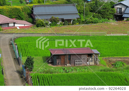 夏日懷舊青奧原風景 夏日懷舊青奧原風景 92264028