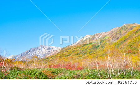 Tsugaike Nature Garden (Autumn) Tsugaike Nature Garden (Autumn) 92264719