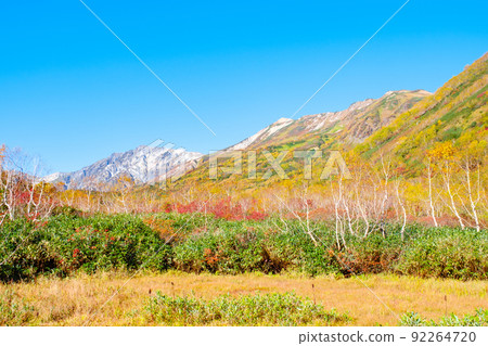 Tsugaike自然花園（秋季） 92264720