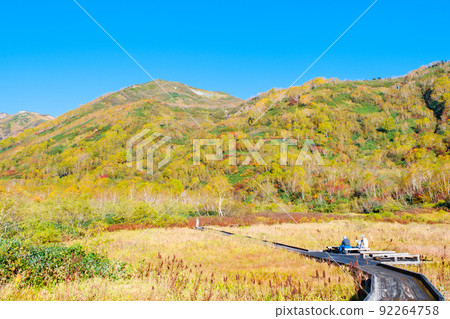 Tsugaike Nature Garden (Autumn) 92264758