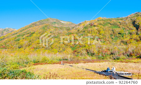 Tsugaike Nature Garden (Autumn) 92264760