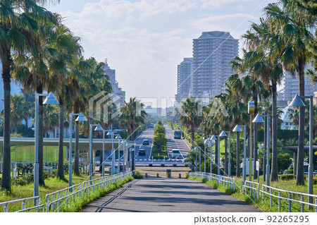一排棕櫚樹和新浦安浦安綜合公園的城市景觀 92265295
