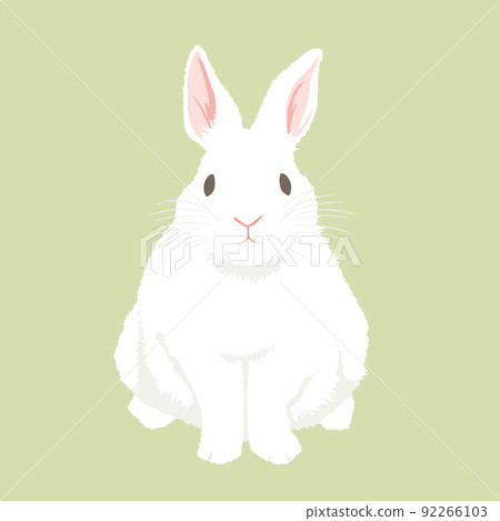 兔子(正面)插圖 兔子(正面)插圖 92266103