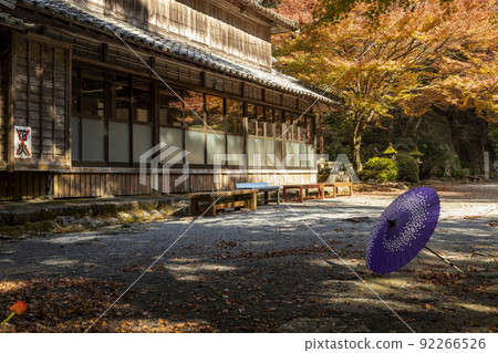 Bucheon Valley │ Tomigawa Mannen no Mori Autumn Leaves [Tomigawamachi, Isahaya City, Nagasaki Prefecture] 92266526