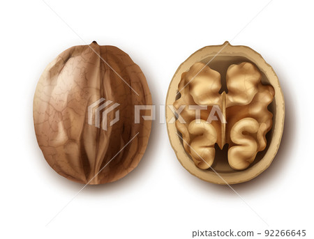 Two ripe walnuts 92266645