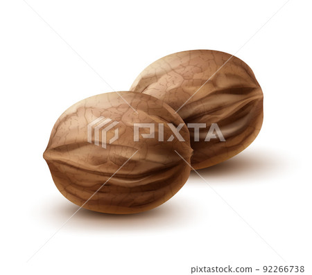 Two whole walnuts 92266738