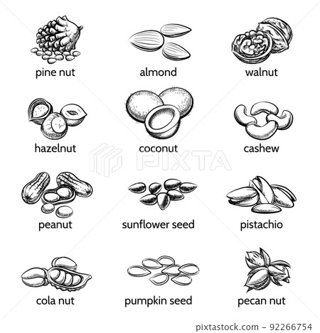 Vector nuts set 92266754
