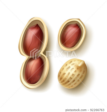 Set of peanuts 92266763