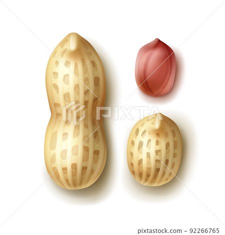 Set of peanuts 92266765