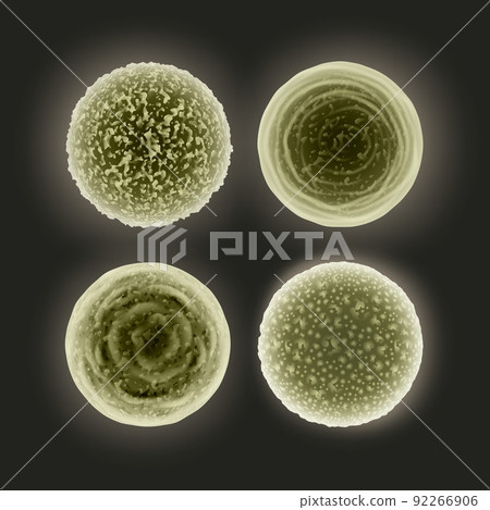 Set of cocci bacteria 92266906