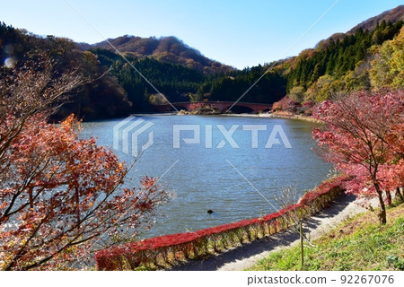 Annaka City, Gunma Prefecture Usui Lake, walking paths and autumn leaves Annaka City, Gunma Prefecture Usui Lake, walking paths and autumn leaves 92267076
