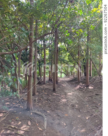 設有玩具套裝和棒球場的出島西公園 設有玩具套裝和棒球場的出島西公園 92267504