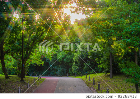 Glittering road Glittering road 92268418