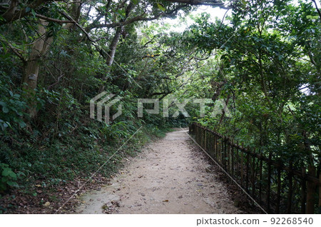 琉球王國最高的聖地世界文化遺產Sefa Utaki 92268540