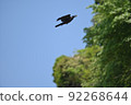 走烏鴉 92268644