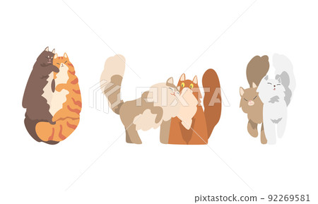 Couples of cute fluffy cats set. Adorable hugging cats in love cartoon vector illustration 92269581