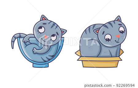 Cute funny gray cat in different activities. Lovely pet animal lying in cup and sitting in cardboard box cartoon vector illustration 92269594